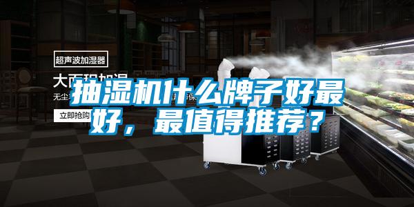 抽濕機什么牌子好最好，最值得推薦？
