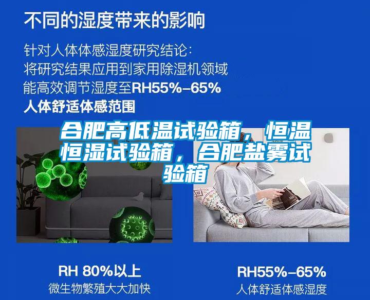 合肥高低溫試驗箱,恒溫恒濕試驗箱,合肥鹽霧試驗箱