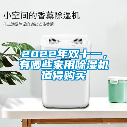 2022年雙十一,有哪些家用除濕機值得購買