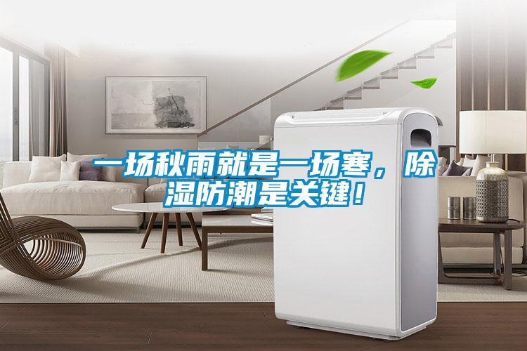 一場秋雨就是一場寒，除濕防潮是關鍵！