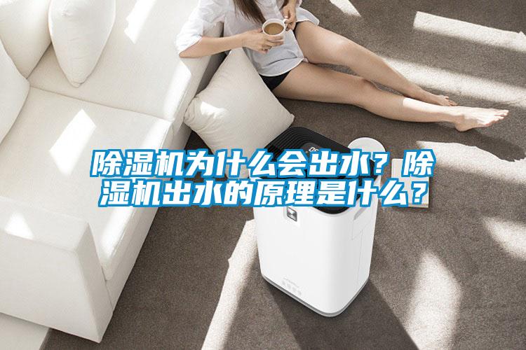 除濕機為什么會出水?除濕機出水的原理是什么?