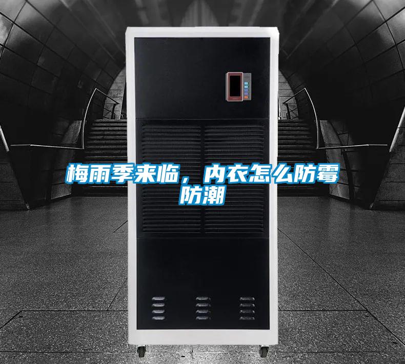 梅雨季來臨，內(nèi)衣怎么防霉防潮