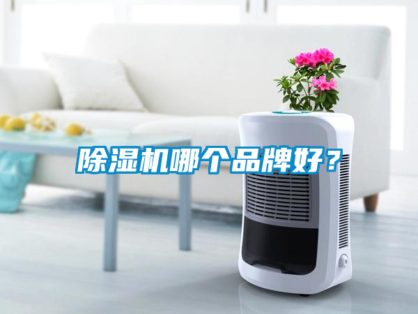 除濕機哪個品牌好?