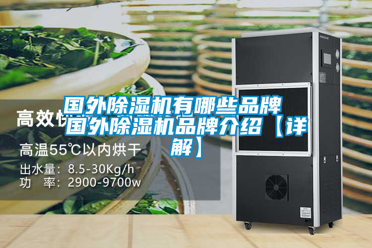 國(guó)外除濕機(jī)有哪些品牌 國(guó)外除濕機(jī)品牌介紹【詳解】