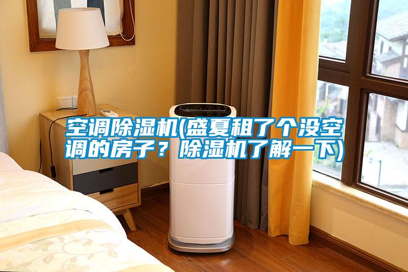 空調除濕機(盛夏租了個沒空調的房子?除濕機了解一下)