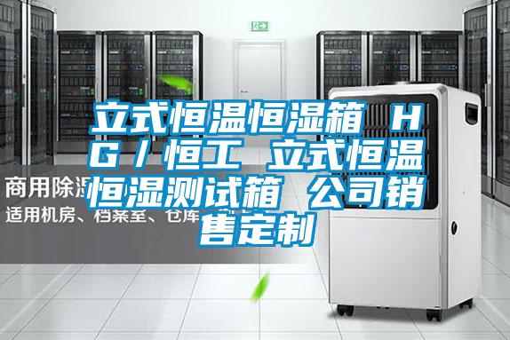 立式恒溫恒濕箱 HG/恒工 立式恒溫恒濕測試箱 公司銷售定制