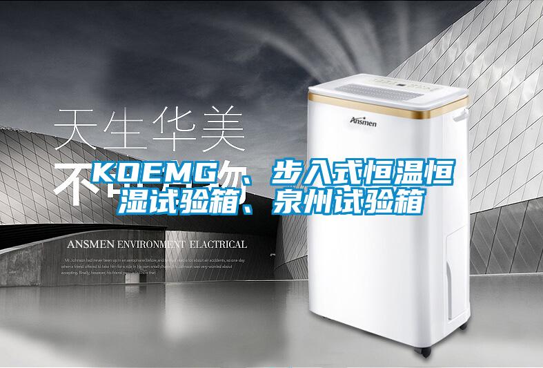 KOEMG 、步入式恒溫恒濕試驗箱、泉州試驗箱