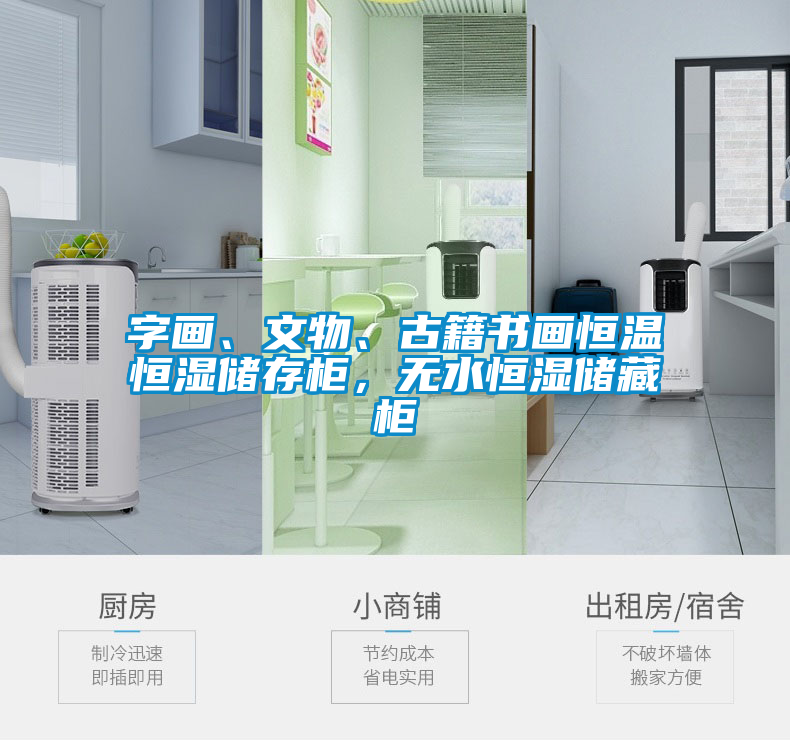 字畫、文物、古籍書畫恒溫恒濕儲(chǔ)存柜，無水恒濕儲(chǔ)藏柜