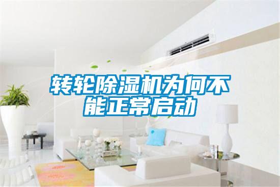 轉(zhuǎn)輪除濕機(jī)為何不能正常啟動