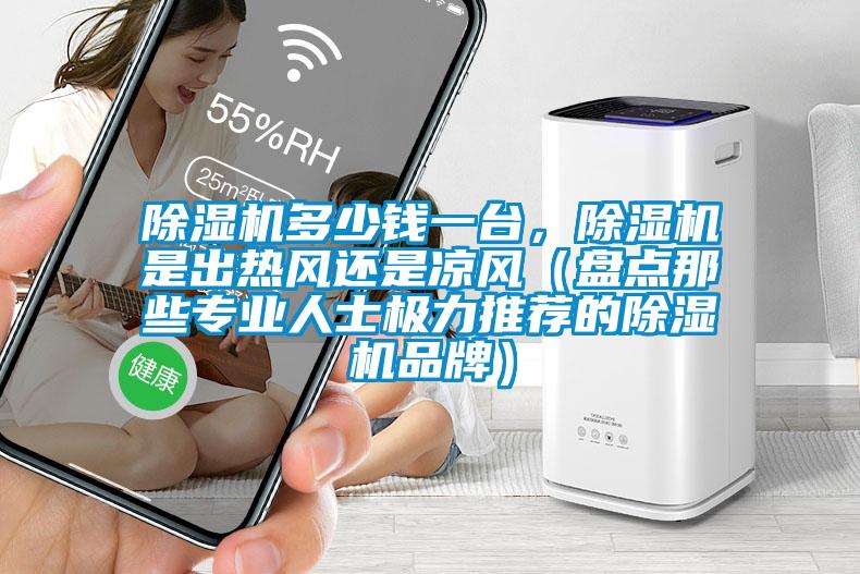 除濕機(jī)多少錢一臺(tái),除濕機(jī)是出熱風(fēng)還是涼風(fēng)(盤點(diǎn)那些專業(yè)人士極力推薦的除濕機(jī)品牌)
