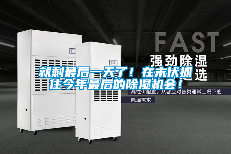 就剩最后一天了!在末伏抓住今年最后的除濕機(jī)會(huì)!