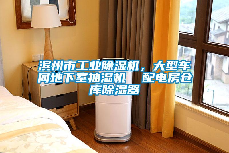 濱州市工業(yè)除濕機(jī),大型車間地下室抽濕機(jī) 配電房倉庫除濕器