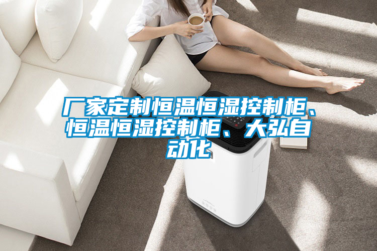 廠家定制恒溫恒濕控制柜、恒溫恒濕控制柜、大弘自動化