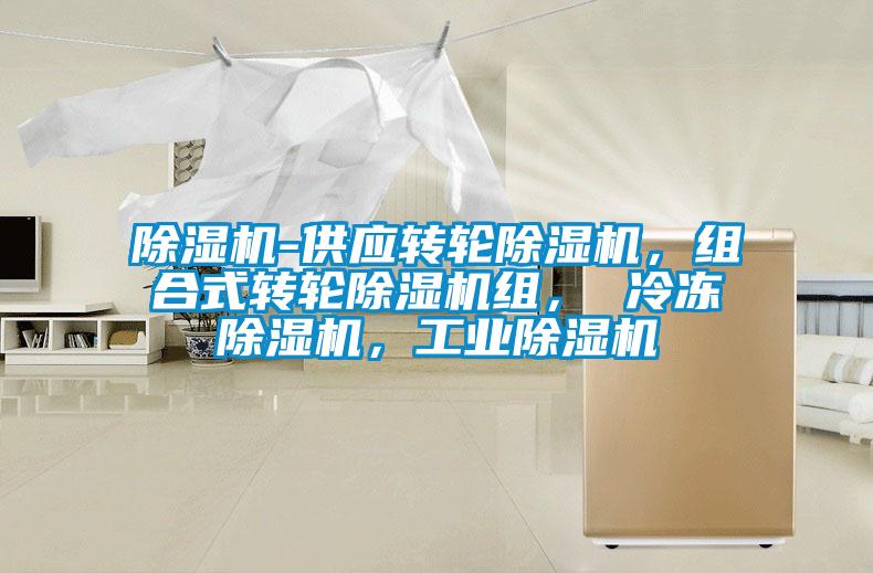 除濕機-供應轉輪除濕機,組合式轉輪除濕機組, 冷凍除濕機,工業(yè)除濕機