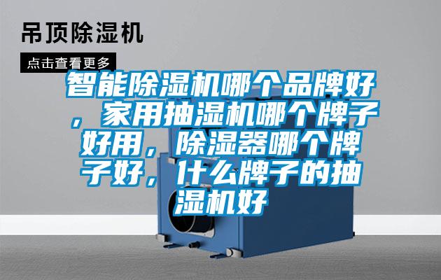 智能除濕機哪個品牌好，家用抽濕機哪個牌子好用，除濕器哪個牌子好，什么牌子的抽濕機好