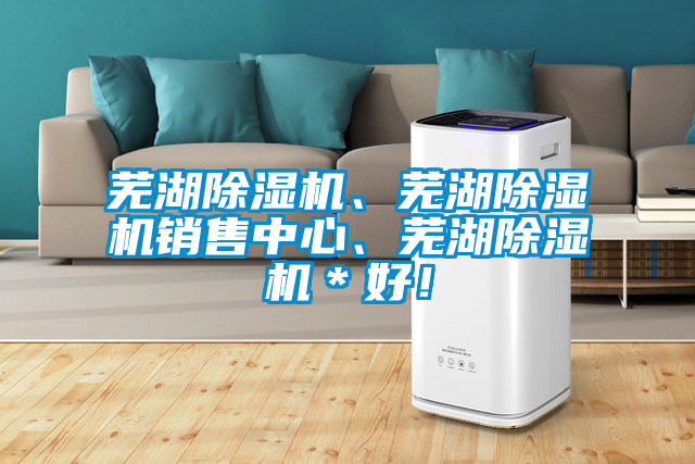 蕪湖除濕機、蕪湖除濕機銷售中心、蕪湖除濕機*好!