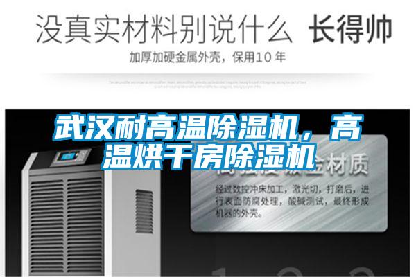 武漢耐高溫除濕機(jī)，高溫烘干房除濕機(jī)