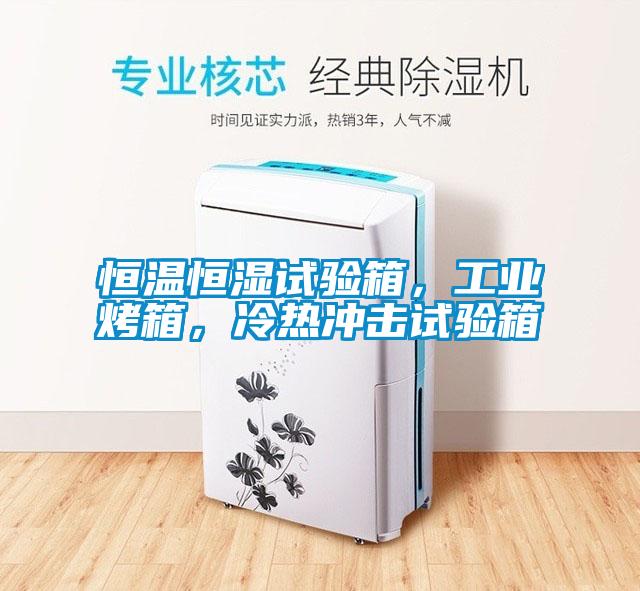 恒溫恒濕試驗箱,工業烤箱,冷熱沖擊試驗箱