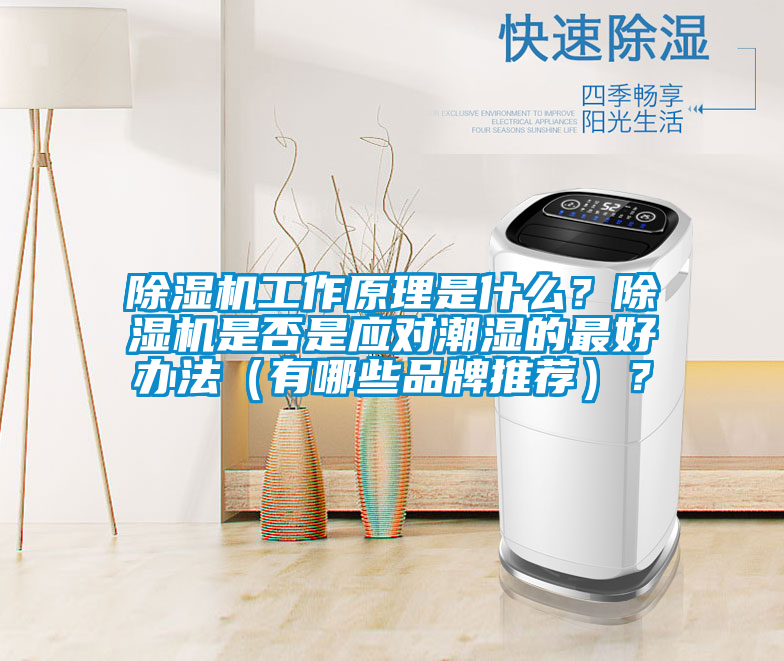 除濕機(jī)工作原理是什么?除濕機(jī)是否是應(yīng)對(duì)潮濕的最好辦法(有哪些品牌推薦)?