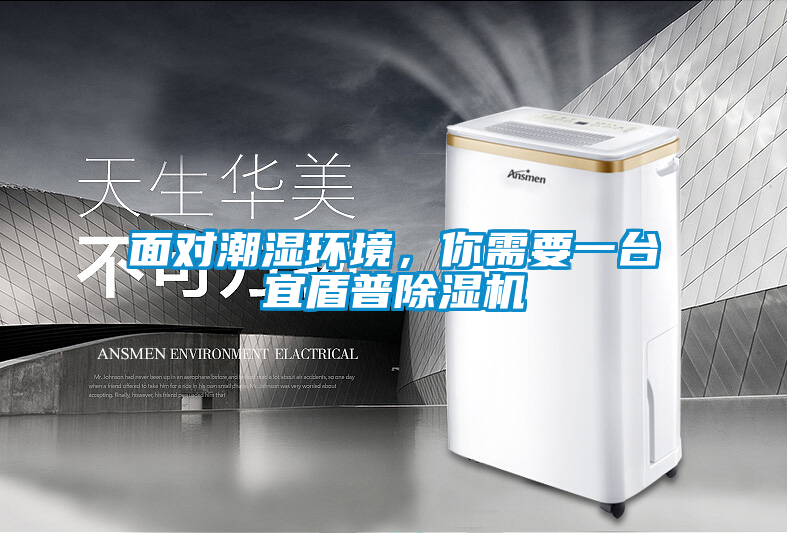 面對潮濕環境，你需要一臺宜盾普除濕機