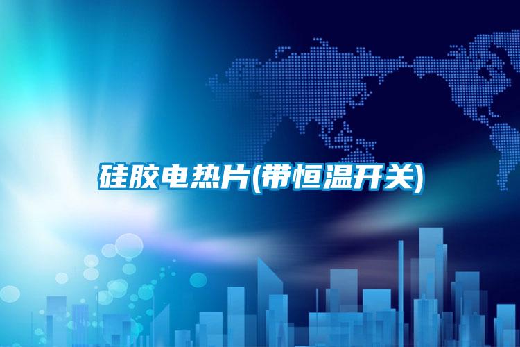 硅膠電熱片(帶恒溫開關)