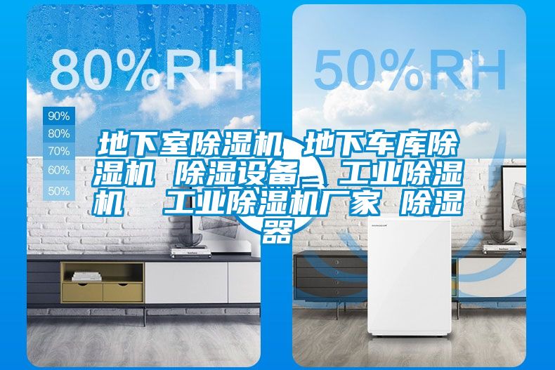 地下室除濕機(jī) 地下車(chē)庫(kù)除濕機(jī) 除濕設(shè)備 工業(yè)除濕機(jī) 工業(yè)除濕機(jī)廠家 除濕器