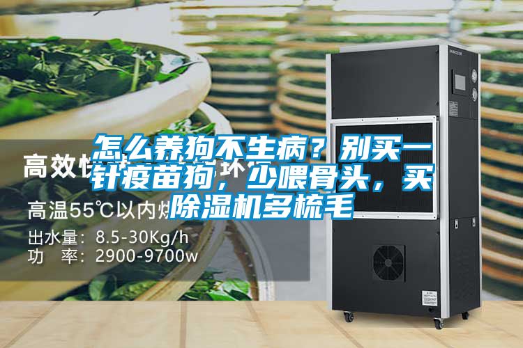 怎么養狗不生??？別買一針疫苗狗，少喂骨頭，買除濕機多梳毛