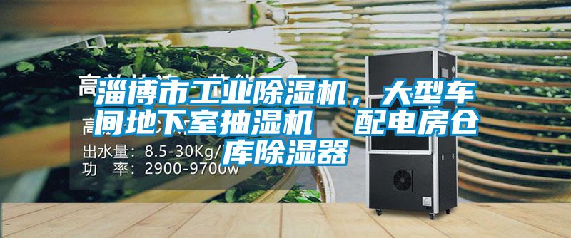 淄博市工業(yè)除濕機(jī),大型車間地下室抽濕機(jī) 配電房倉(cāng)庫(kù)除濕器