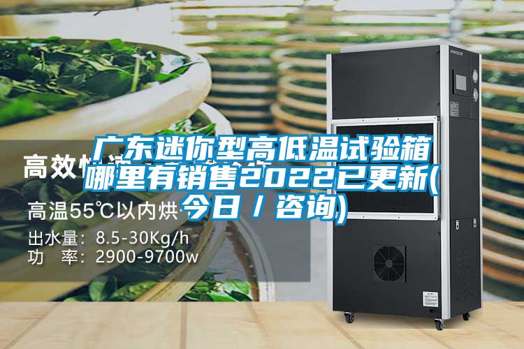 廣東迷你型高低溫試驗箱哪里有銷售2022已更新(今日/咨詢)