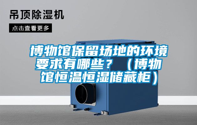 博物館保留場(chǎng)地的環(huán)境要求有哪些?(博物館恒溫恒濕儲(chǔ)藏柜)