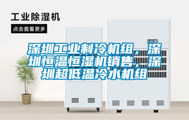 深圳工業(yè)制冷機(jī)組，深圳恒溫恒濕機(jī)銷售，深圳超低溫冷水機(jī)組