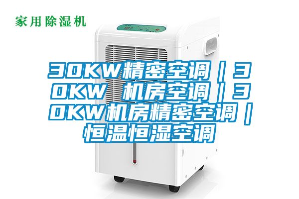 30KW精密空調|30KW 機房空調|30KW機房精密空調|恒溫恒濕空調
