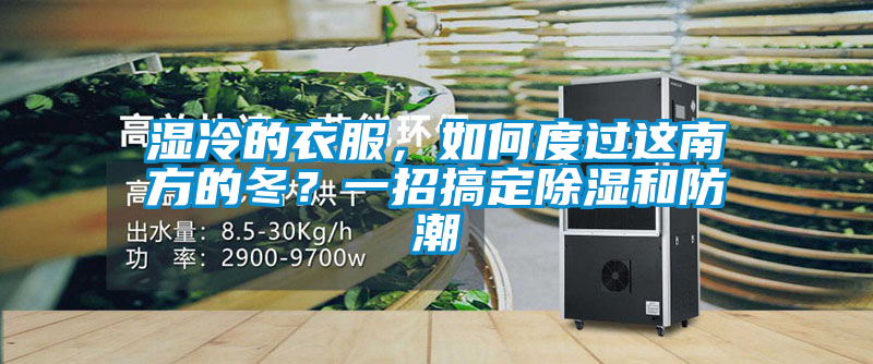 濕冷的衣服，如何度過這南方的冬？一招搞定除濕和防潮