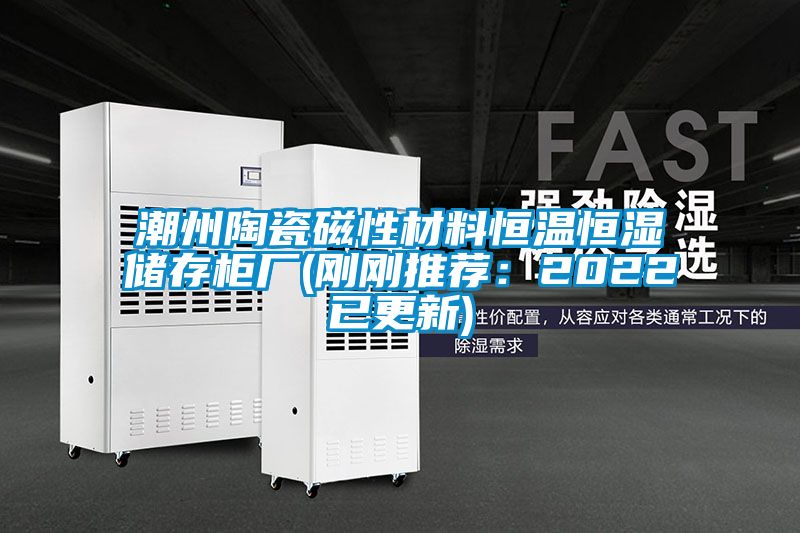 潮州陶瓷磁性材料恒溫恒濕儲存柜廠(剛剛推薦:2022已更新)