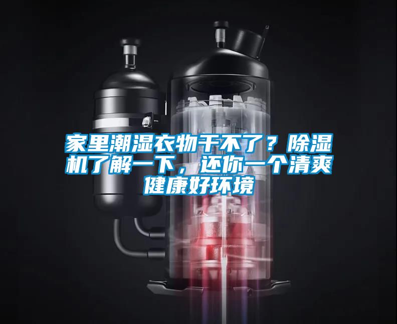 家里潮濕衣物干不了？除濕機了解一下，還你一個清爽健康好環境