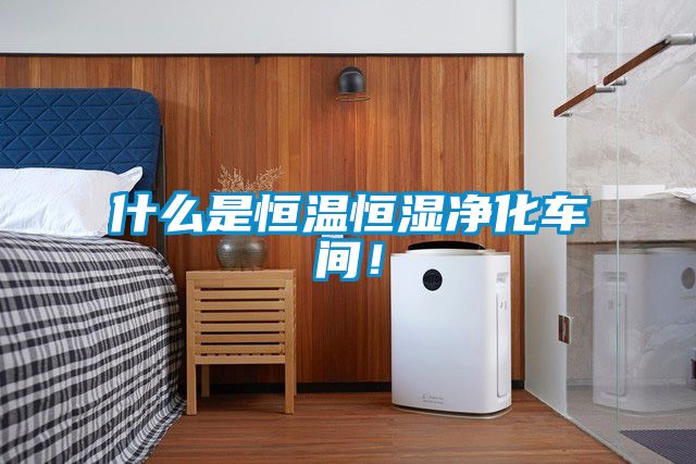 什么是恒溫恒濕凈化車間！