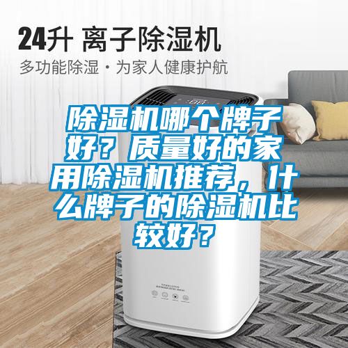 除濕機(jī)哪個(gè)牌子好？質(zhì)量好的家用除濕機(jī)推薦，什么牌子的除濕機(jī)比較好？