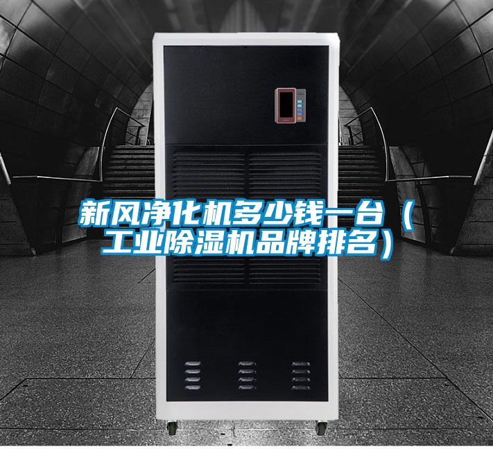 新風凈化機多少錢一臺(工業除濕機品牌排名)