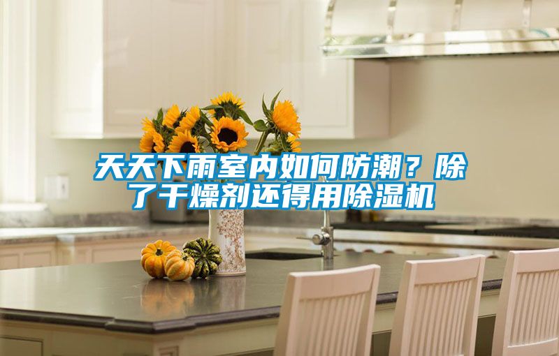 天天下雨室內如何防潮？除了干燥劑還得用除濕機