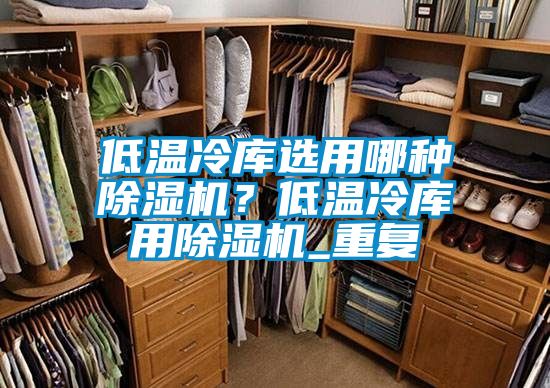 低溫冷庫(kù)選用哪種除濕機(jī)？低溫冷庫(kù)用除濕機(jī)_重復(fù)