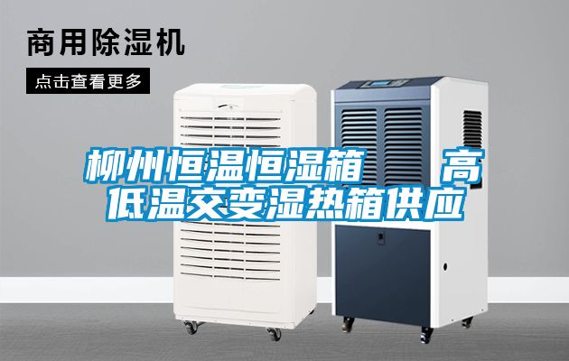 柳州恒溫恒濕箱 高低溫交變濕熱箱供應