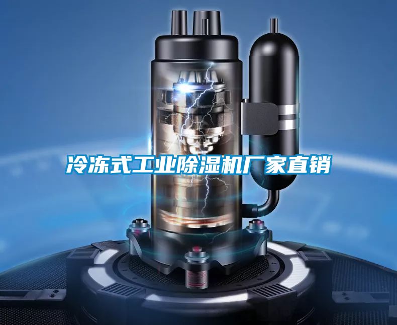 冷凍式工業(yè)除濕機(jī)廠家直銷(xiāo)
