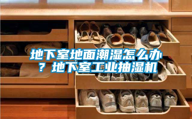 地下室地面潮濕怎么辦？地下室工業(yè)抽濕機(jī)