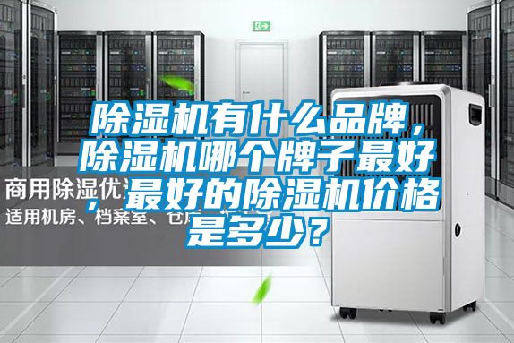 除濕機(jī)有什么品牌,除濕機(jī)哪個牌子最好,最好的除濕機(jī)價格是多少?