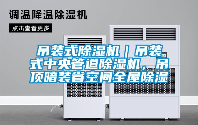 吊裝式除濕機|吊裝式中央管道除濕機,吊頂暗裝省空間全屋除濕
