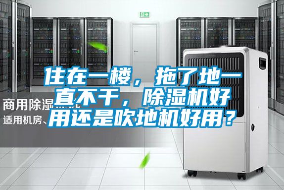 住在一樓，拖了地一直不干，除濕機好用還是吹地機好用？