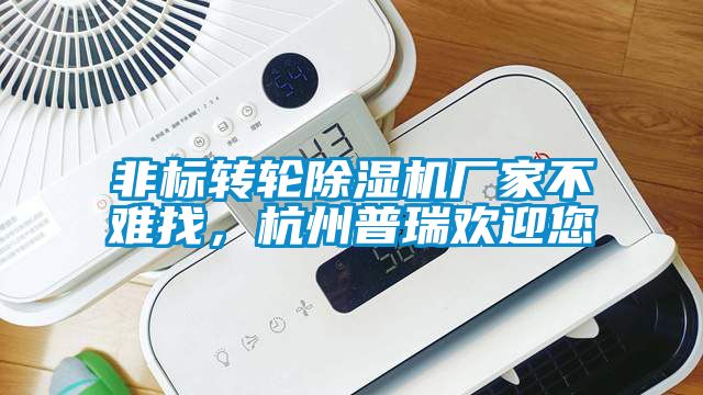 非標轉輪除濕機廠家不難找,杭州普瑞歡迎您