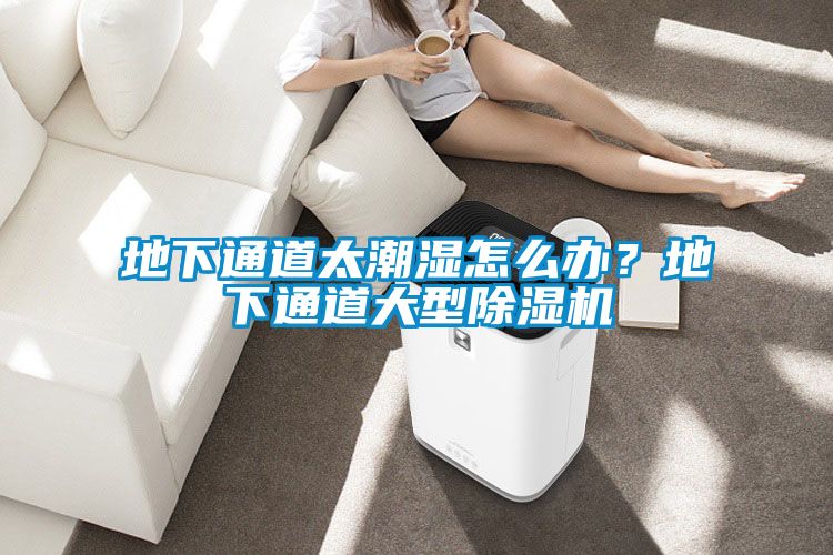 地下通道太潮濕怎么辦?地下通道大型除濕機(jī)