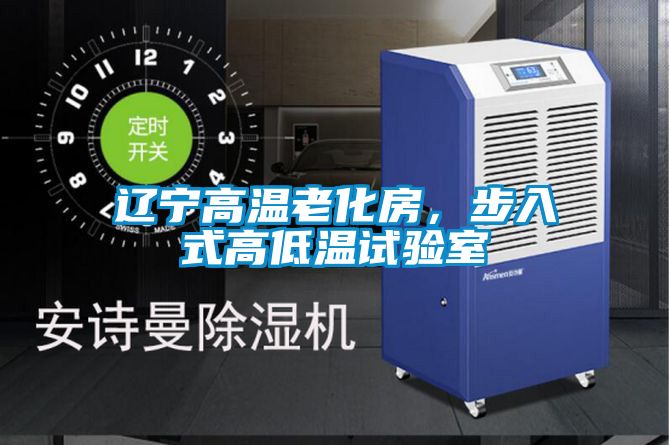 遼寧高溫老化房,步入式高低溫試驗室