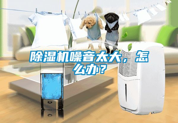 除濕機噪音太大,怎么辦?